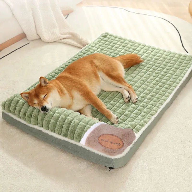 Cama para companheiro de 4 patas